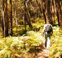 Federal Pass - Accommodation Mount Tamborine