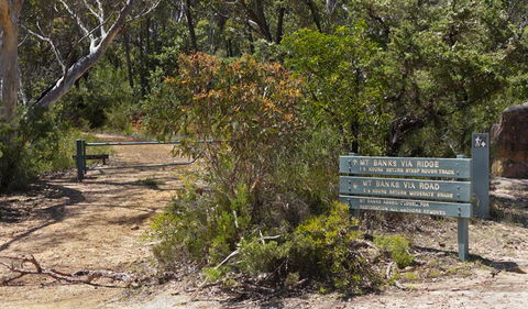Mount Banks Road Cycle Route - Accommodation Mount Tamborine 1