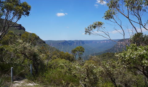 Mount Banks Road Cycle Route - Accommodation Mount Tamborine 2