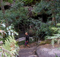Leura Cascades Fern Bower - Accommodation Mount Tamborine