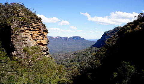 Leura Cascades Fern Bower - Accommodation Mount Tamborine 1