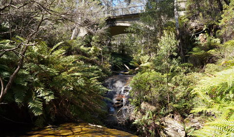 Leura Cascades Fern Bower - Accommodation Mount Tamborine 3