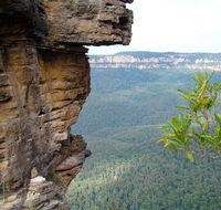 Three Sisters - Honeymoon Bridge - Accommodation Mount Tamborine