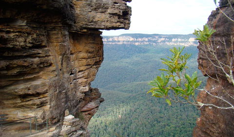 Three Sisters - Honeymoon Bridge - Accommodation Mount Tamborine 0