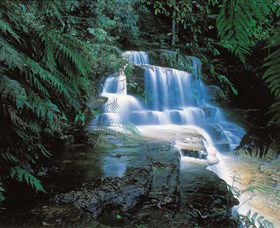 Leura NSW Accommodation Mount Tamborine