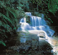 Leura Cascades - Accommodation Mount Tamborine