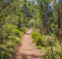 Mares Forest Creek walking track - Accommodation Mount Tamborine