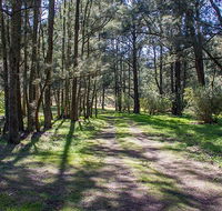 Wombeyan Waterfall walking track - Accommodation Mount Tamborine