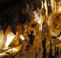Wollondilly Cave - Accommodation Mount Tamborine