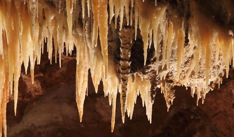 Wollondilly Cave - Accommodation Mount Tamborine 1