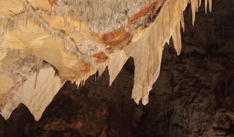 Wollondilly Cave - Accommodation Mount Tamborine 3