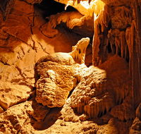 Fig Tree Cave - Accommodation Mount Tamborine