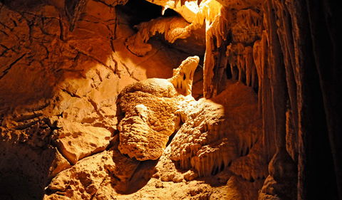 Fig Tree Cave - Accommodation Mount Tamborine 0