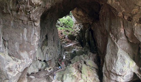 Fig Tree Cave - Accommodation Mount Tamborine 1