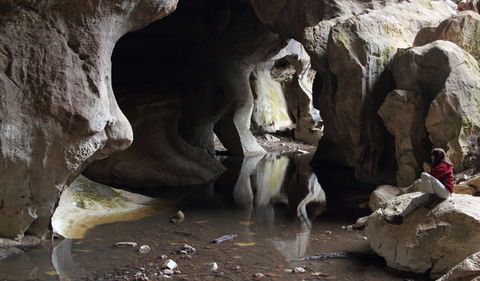 Fig Tree Cave - Accommodation Mount Tamborine 2