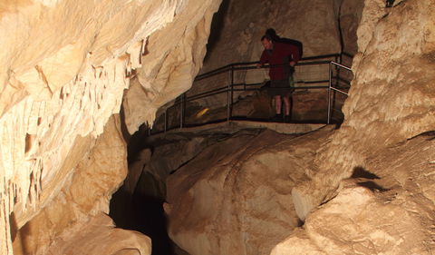 Fig Tree Cave - Accommodation Mount Tamborine 3