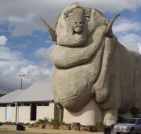 Big Merino - Accommodation Mount Tamborine
