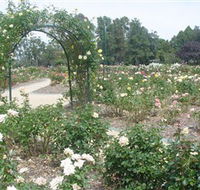 Victoria Park Rose Garden - Accommodation Mount Tamborine