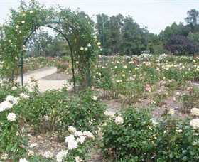 Victoria Park Rose Garden - Accommodation Mount Tamborine 0