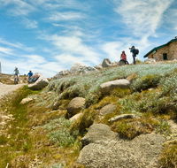 Mount Kosciuszko Summit walk - Accommodation Mount Tamborine