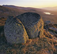 Main Range Track - Accommodation Mount Tamborine