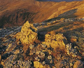 Kosciuszko National Park - Charlottes Pass To Snowy River - Accommodation Mount Tamborine 1