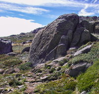 Mount Stillwell walk - Accommodation Mount Tamborine