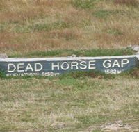 Dead Horse Gap - Accommodation Mount Tamborine