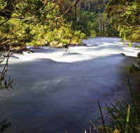 River walk - Accommodation Mount Tamborine
