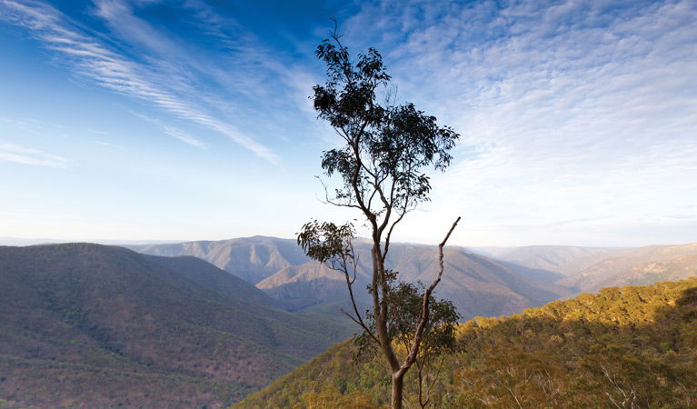 Mihi NSW Accommodation Mount Tamborine