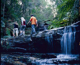 South Lawson Waterfall Circuit - Accommodation Mount Tamborine 0