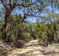 Howes trail - Accommodation Mount Tamborine