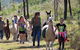 Ottaba Llamas - thumb 0