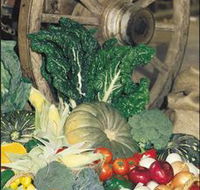 Mulgowie Real Farmers Markets - Accommodation Mount Tamborine