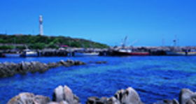 King Island TAS Accommodation Mount Tamborine