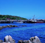 King Island Dairies - Accommodation Mount Tamborine