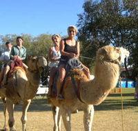 Calamunnda Camel Farm  - Accommodation Mount Tamborine