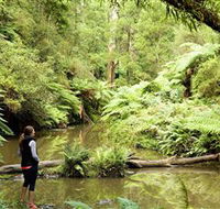Morwell National Park - Accommodation Mount Tamborine