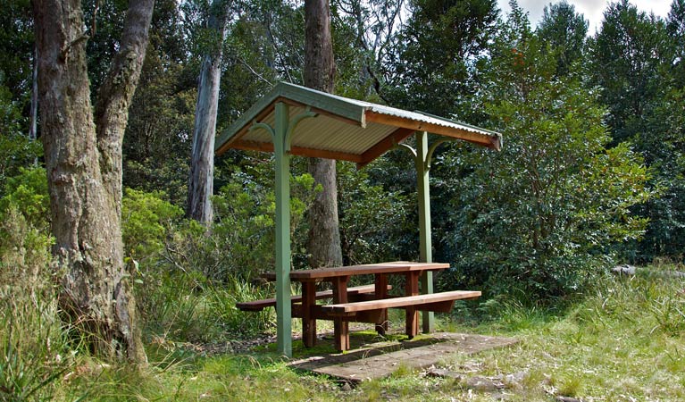 Wards River NSW Accommodation Mount Tamborine