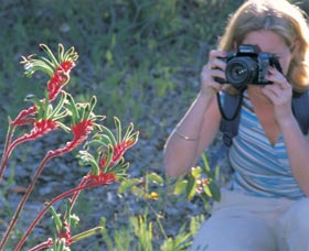 Kalamunda National Park - Accommodation Mount Tamborine 1