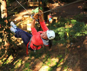 Trees Adventure Grose River Park - Accommodation Mount Tamborine 0
