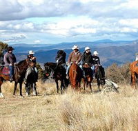Snowy Wilderness - Accommodation Mount Tamborine