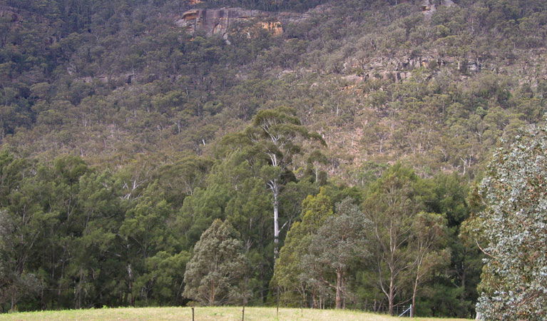 Joadja NSW Accommodation Mount Tamborine