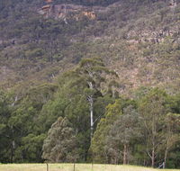 Bangadilly National Park - Accommodation Mount Tamborine