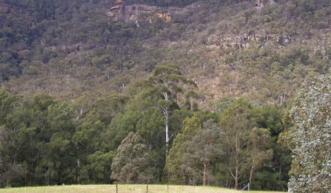 Bangadilly National Park - Accommodation Mount Tamborine 0