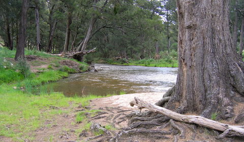 Bangadilly National Park - Accommodation Mount Tamborine 3