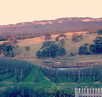 Dryridge Estate - Accommodation Mount Tamborine