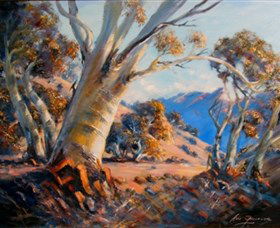East Jindabyne NSW Accommodation Mount Tamborine