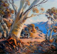 Kunama Snowy Mountains Centre for the Arts - Accommodation Mount Tamborine