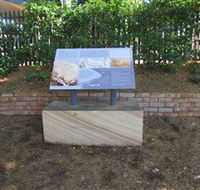 Coxs Road Interpretive Trail - Accommodation Mount Tamborine